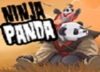 Ninja Panda Couple