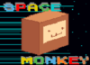 Space Monkey Fly
