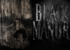 Black Manor Run